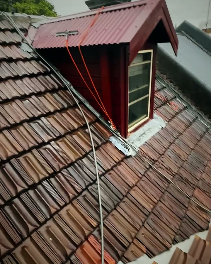 Lichen roof wash in Drummoyne after Pristine Pressure Clean