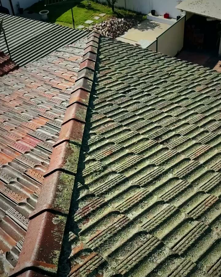Moss roof wash in Earlwood before
