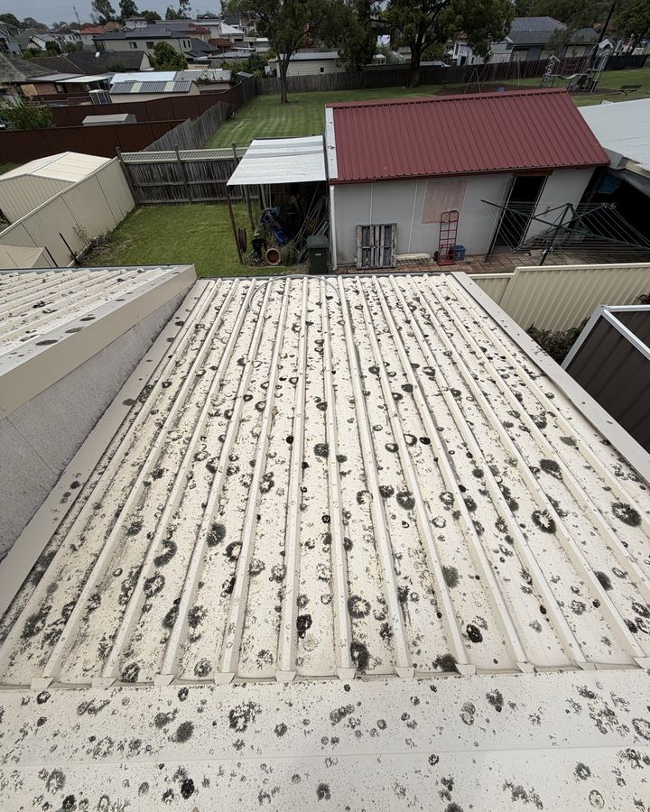 Colorbond roof wash in Merrylands, before