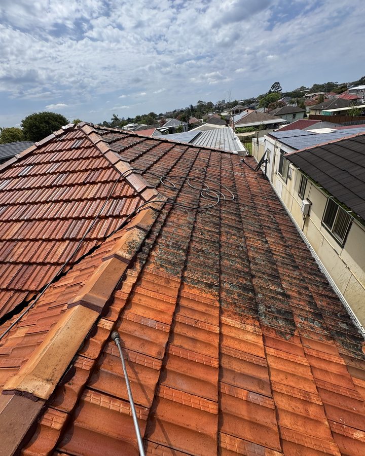 Half-washed tile roof in Merrylands