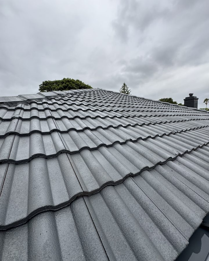 Charcoal coated tiles up close in Strathfield